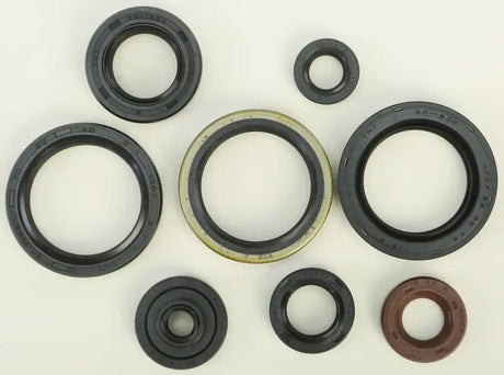 822329 Oil Seal Set - Kit