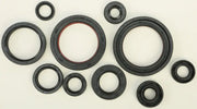 Black rubber oil seal set with various sizes for sealing needs in oil seal kit