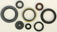 822346 Oil Seal Set - Kit