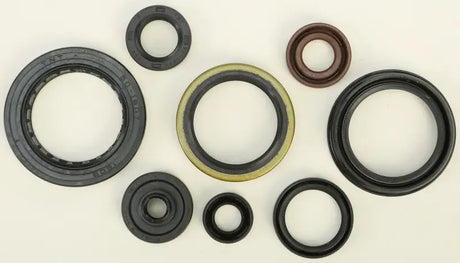822346 Oil Seal Set - Kit