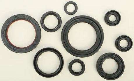 822352 Oil Seal Set - Kit