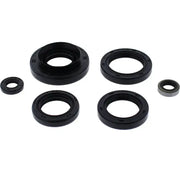 822366 Oil Seal Set - Kit