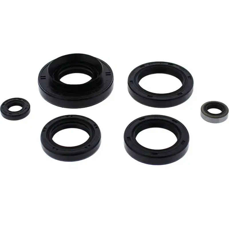 822366 Oil Seal Set - Kit