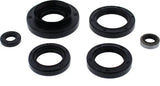 822366 Oil Seal Set - Kit