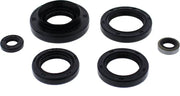 822366 Oil Seal Set - Kit