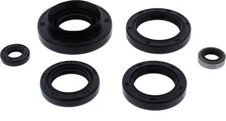 822366 Oil Seal Set - Kit