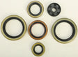 822370 Oil Seal Set - Kit