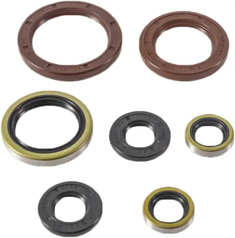 822372 Oil Seal Set - Kit