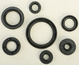 822692 Oil Seal Set - Kit