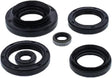 822881 Oil Seal Set - Kit