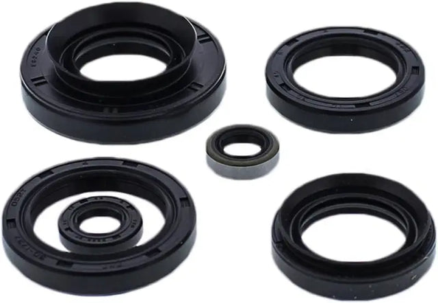 822881 Oil Seal Set - Kit