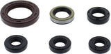 Oil seal set with 6 colorful oil seals of different sizes for your seal kit needs