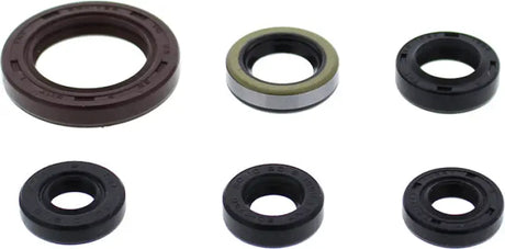 Oil seal set with 6 colorful oil seals of different sizes for your seal kit needs