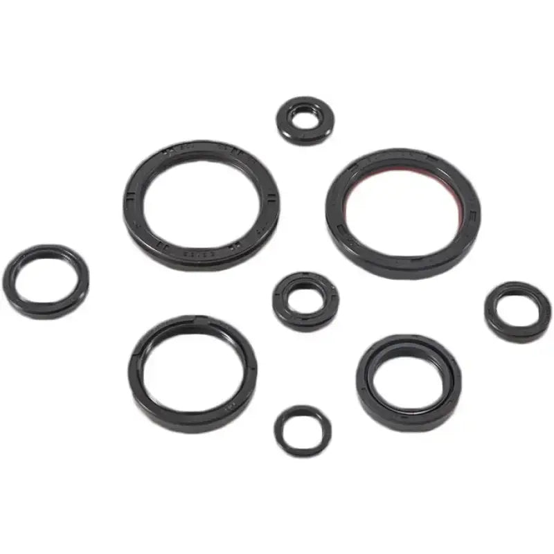 822989 Oil Seal Set - Kit