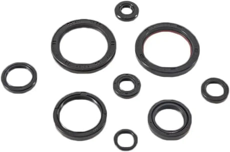 822989 Oil Seal Set - Kit