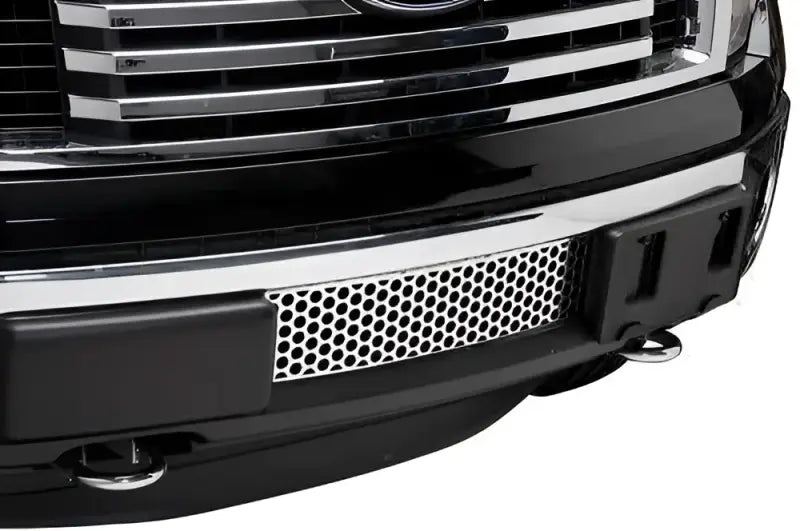 84182 Bumper Grille Insert