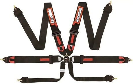 Racequip 851001 RaceQuip Black FIA CAMLOCK 6pt Pull Down Lap