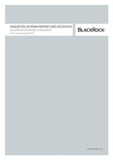 BlackRock interim report on Ford Mini Dorman Term for perfect fit in 2018 Ford Mini
