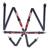 Racequip 856006 RaceQuip Black FIA CAMLOCK 6pt 2in Pull Up Lap FHR