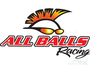 All Balls 25-1818 Wheel Bearing Kit