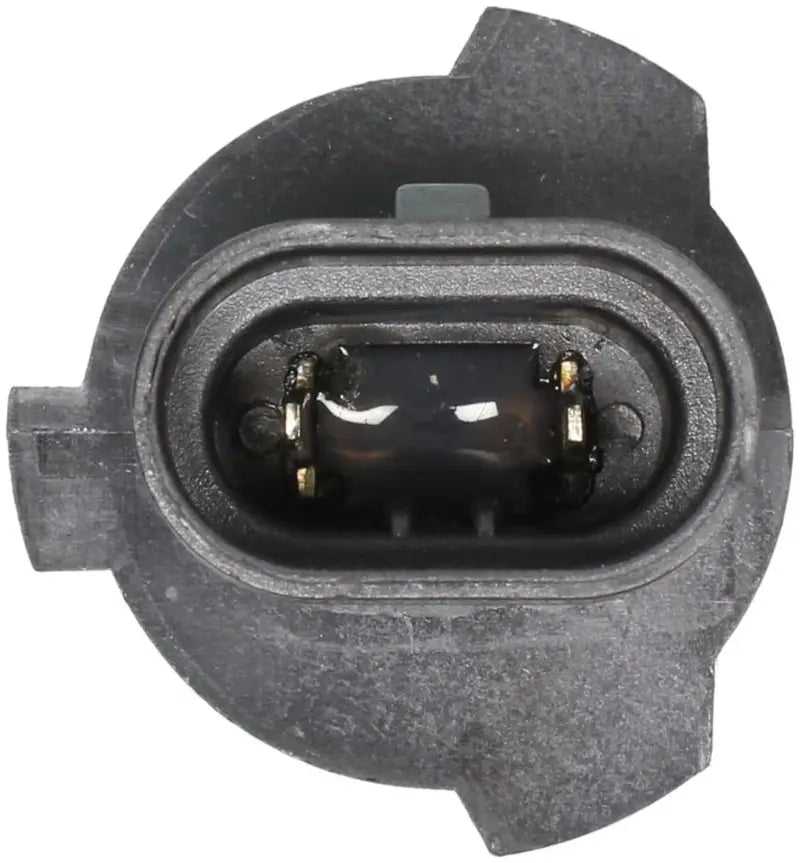 9005XS Headlight Bulb