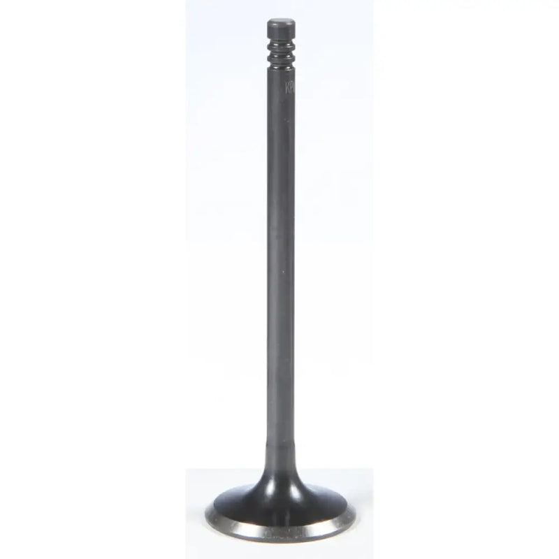 91-91166 Black Diamond Exhaust Valve