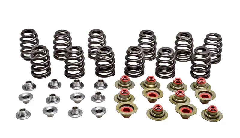 Engine valve spring kit for the 91-91300 Racing Valve Spring Kit Beehive addon