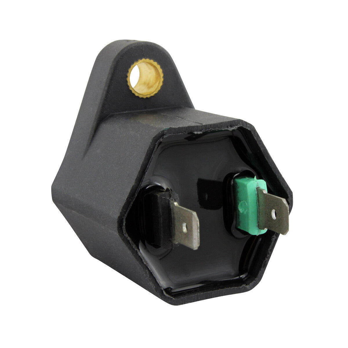 RM Stator External Ignition Coils Electrical RM06172