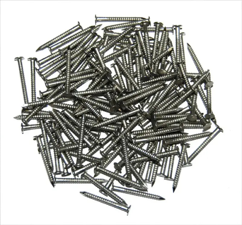 95999 Taylor Made 1-1/4’ #12 Ss Nail (Ring Shank)