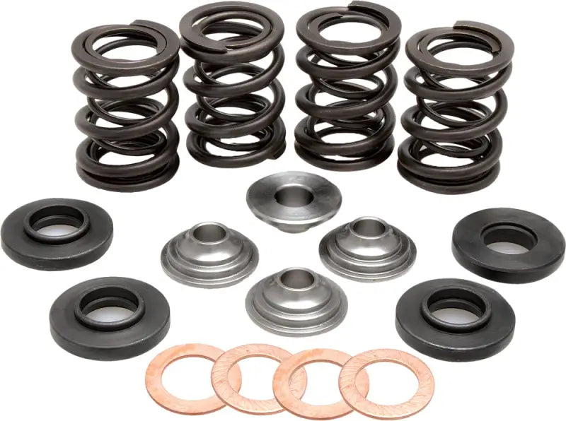 96-96000 Racing Valve Spring Kit