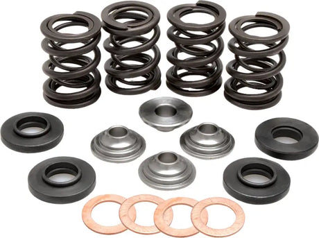 96-96000 Racing Valve Spring Kit