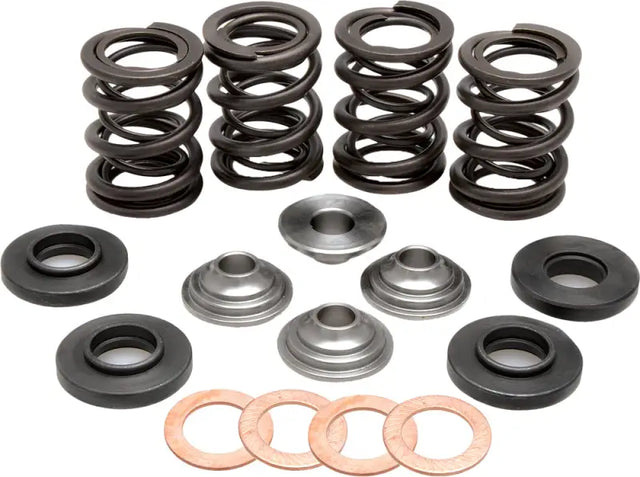 96-96000 Racing Valve Spring Kit