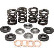 96-96000 Racing Valve Spring Kit