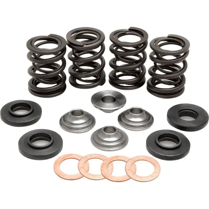 96-96000 Racing Valve Spring Kit