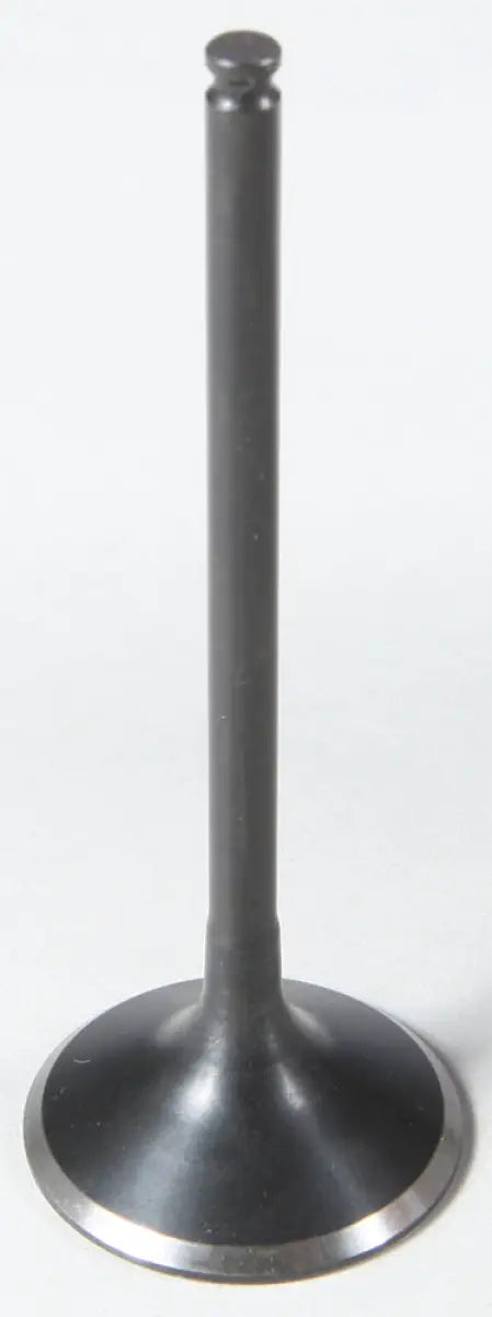 96-96216 Exhaust Valve