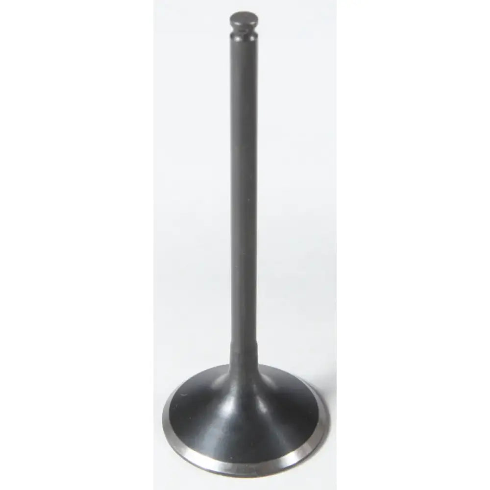 96-96216 Exhaust Valve