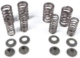 96-96400 Racing Valve Spring Kit