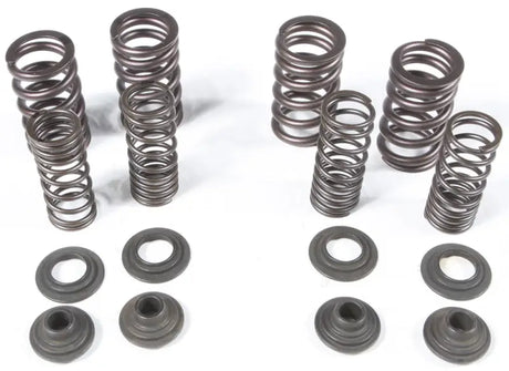 96-96400 Racing Valve Spring Kit