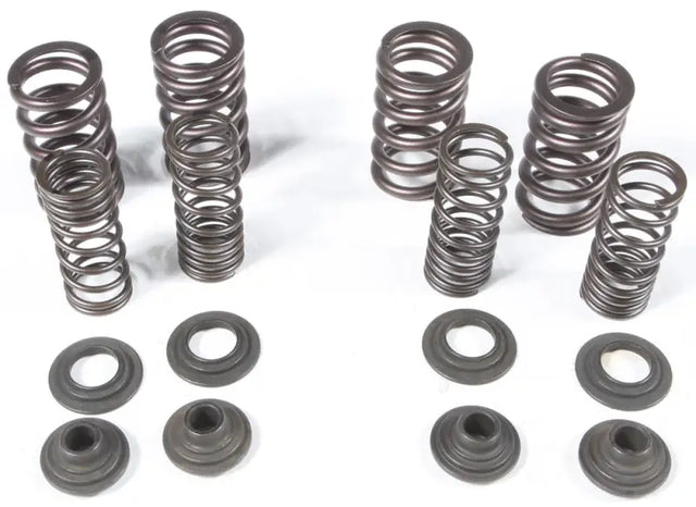 96-96400 Racing Valve Spring Kit