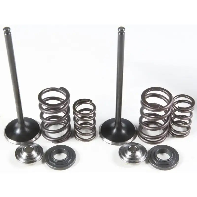 96-96450 Intake Valve/Spring Kit StainleSS Steel - Valve Spring