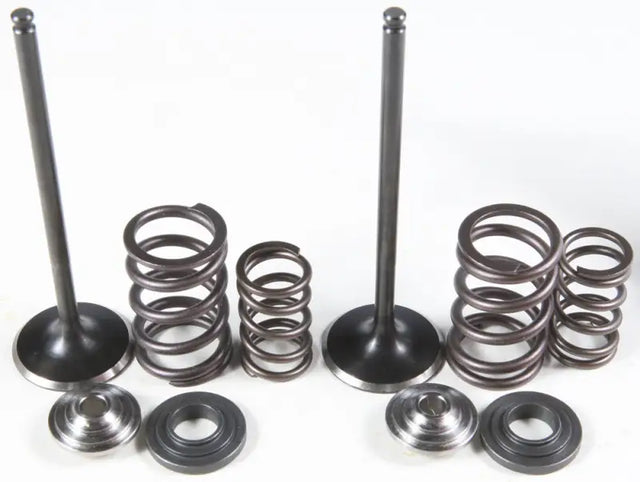 96-96450 Intake Valve/Spring Kit StainleSS Steel - Valve Spring