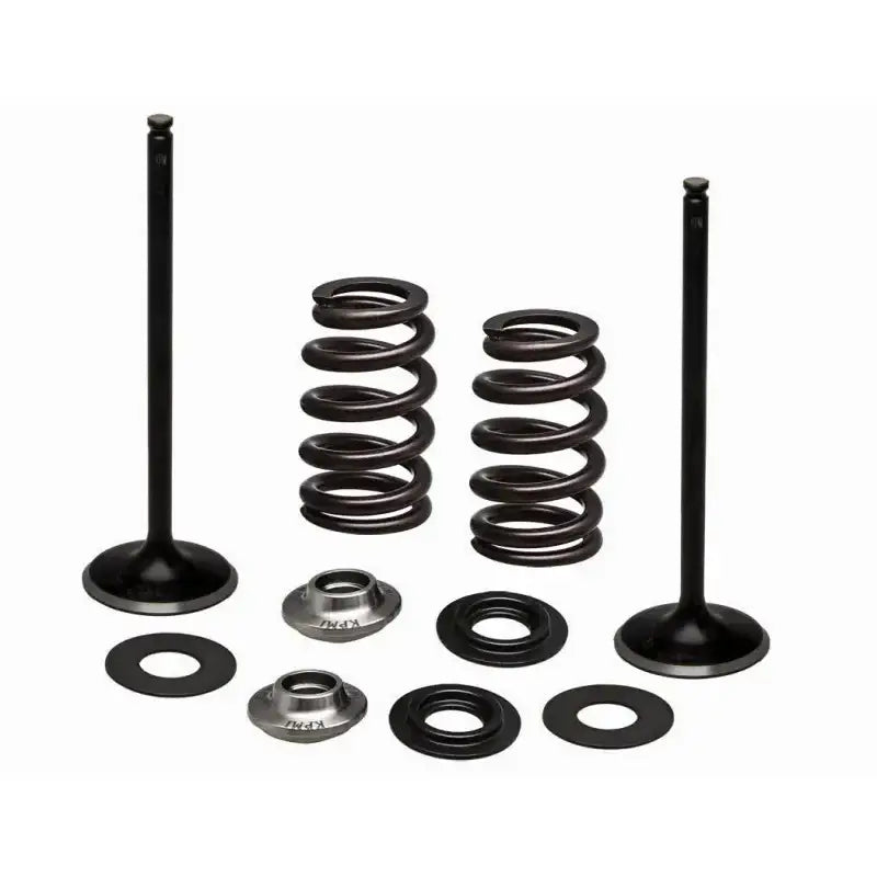 96-96540 SS Intake Valve/Spring Kit - Valve Spring