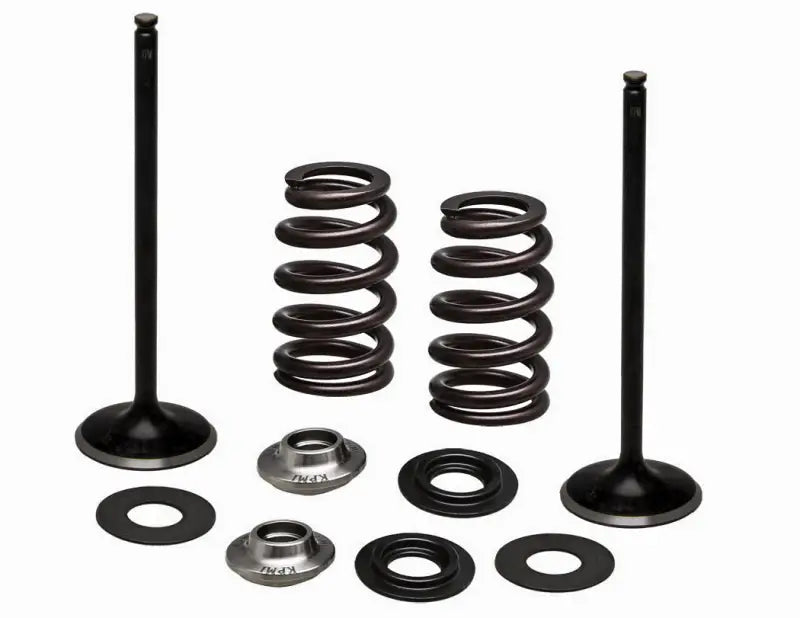 96-96540 SS Intake Valve/Spring Kit - Valve Spring