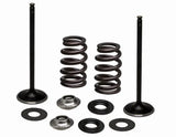96-96540 SS Intake Valve/Spring Kit - Valve Spring