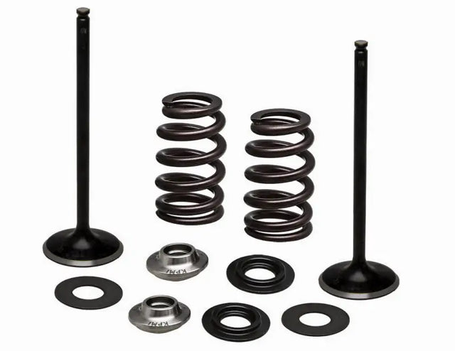 96-96540 SS Intake Valve/Spring Kit - Valve Spring
