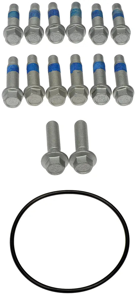 Bolts and black o-ring for Dorman hub rotor and caliper bracket assembly