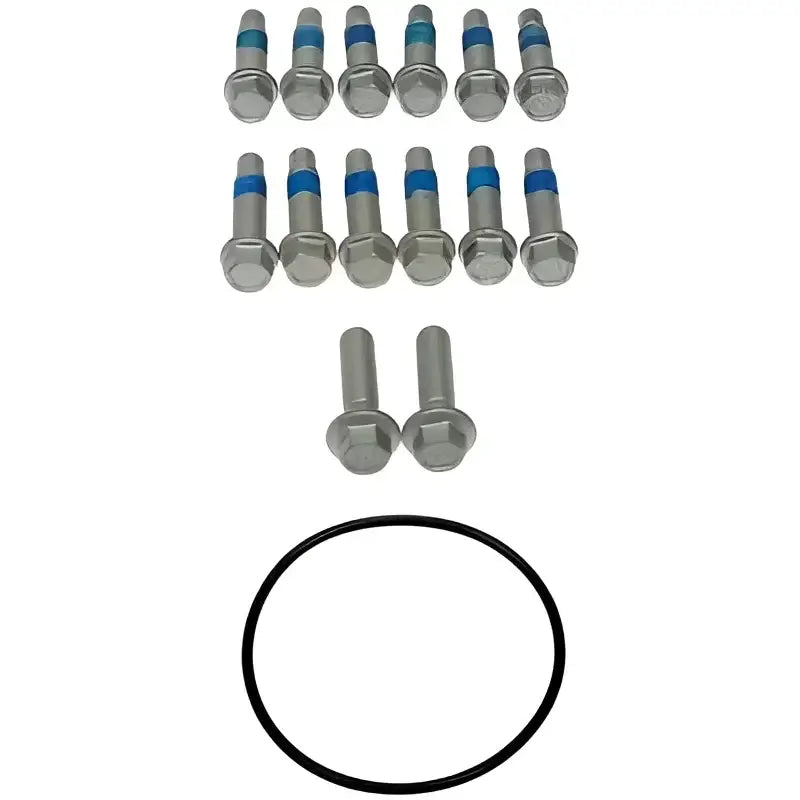 Black o-ring and bolts for Dorman hub rotor and caliper bracket assembly