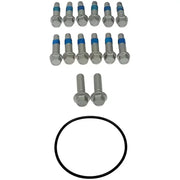 Black o-ring and bolts for Dorman hub rotor and caliper bracket assembly
