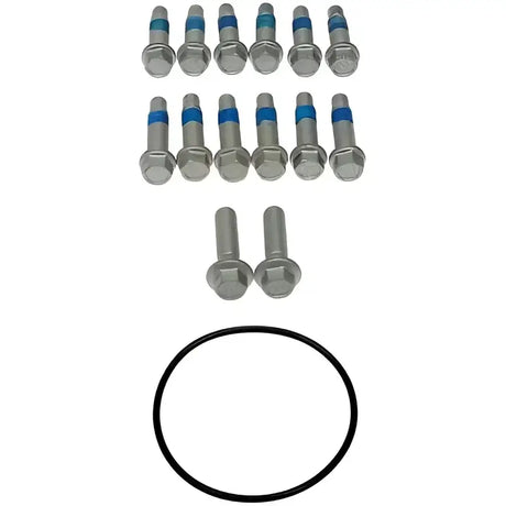 Black o-ring and bolts for Dorman hub rotor and caliper bracket assembly