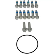 Black o-ring and bolts for Dorman hub rotor and caliper bracket assembly